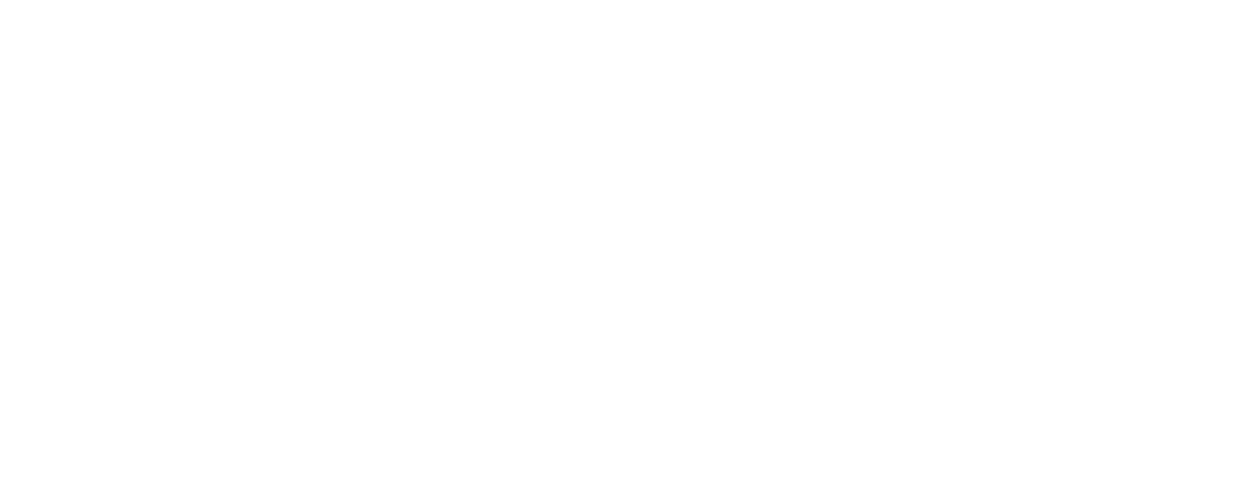 logo nietz