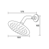 14 NZCLN ASH607 2