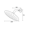 17 NZCLN ASH807 2