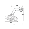 8 NZCLN ASH405 2